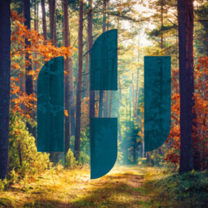 Heartwood Homes logo over an image of the Heartwood Forest
