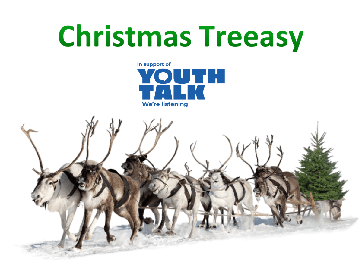 Christmas Treeasy in support of Youth Talk