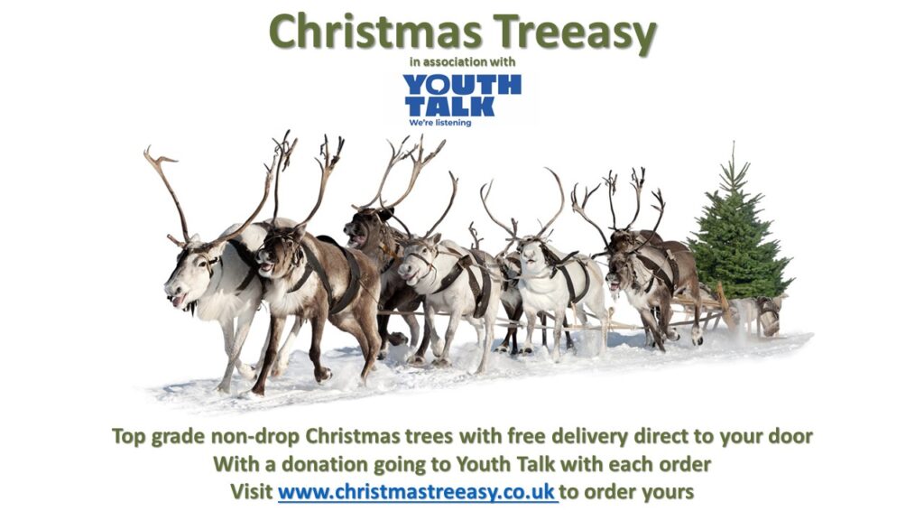 Christmas Treeasy in association with Youth Talk