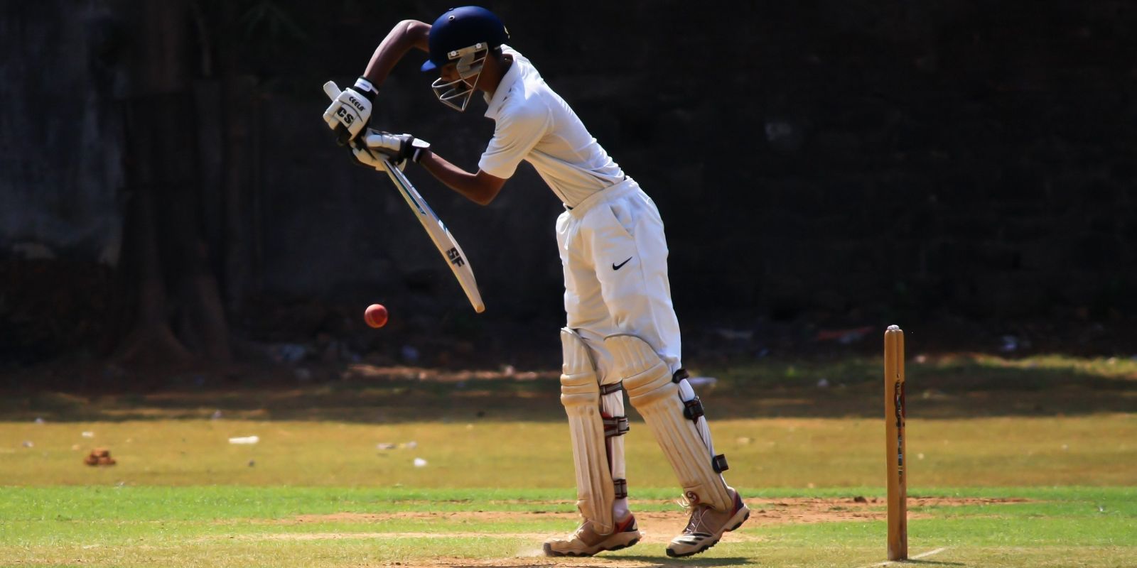 Cricket Player